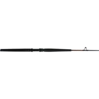 Star Rods Aerial Conventional Boat Rod - EX7040